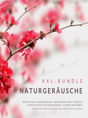 cover image of XXL-Bundle
